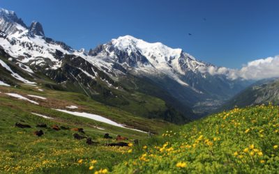 Pure Altitude : la montagne, source de beauté